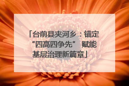 台前县夹河乡：锚定“四高四争先” 赋能基层治理新篇章