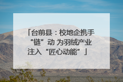 台前县：校地企携手“链”动 为羽绒产业注入“匠心动能”