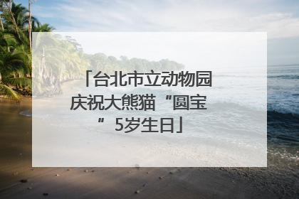 台北市立动物园庆祝大熊猫“圆宝”5岁生日