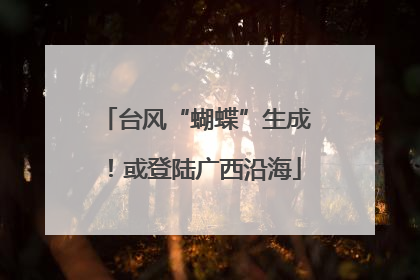 台风“蝴蝶”生成！或登陆广西沿海