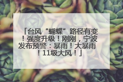 台风“蝴蝶”路径有变！强度升级！刚刚，宁波发布预警：暴雨！大暴雨！11级大风！