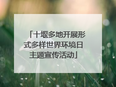 十堰多地开展形式多样世界环境日主题宣传活动