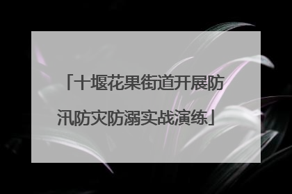 十堰花果街道开展防汛防灾防溺实战演练