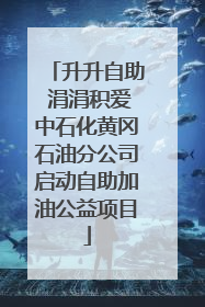升升自助 涓涓积爱中石化黄冈石油分公司启动自助加油公益项目