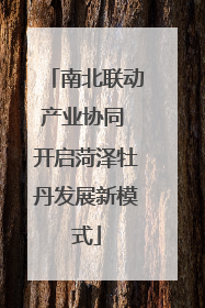 南北联动产业协同 开启菏泽牡丹发展新模式