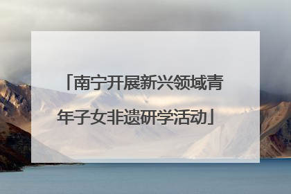 南宁开展新兴领域青年子女非遗研学活动