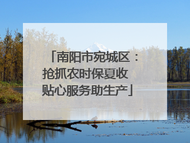 南阳市宛城区：抢抓农时保夏收 贴心服务助生产