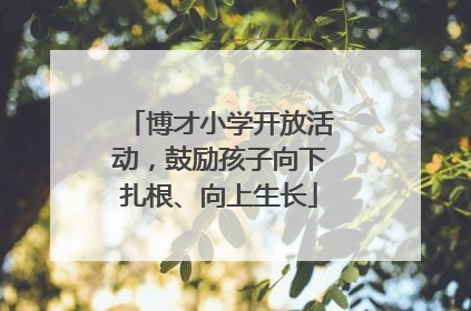 博才小学开放活动，鼓励孩子向下扎根、向上生长