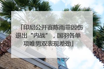 印尼公开赛陈雨菲因伤退出“内战”，国羽各单项唯男双表现差劲