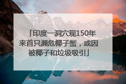 印度一洞穴现150年来首只濒危椰子蟹，或因被椰子和垃圾吸引