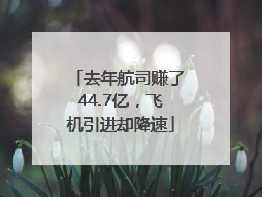 去年航司赚了44.7亿，飞机引进却降速