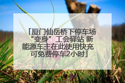 厦门仙岳桥下停车场“变身”工会驿站 新能源车主在此使用快充 可免费停车2小时