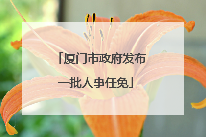 厦门市政府发布一批人事任免