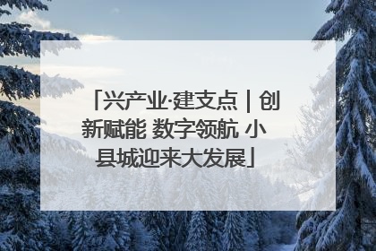 兴产业·建支点｜创新赋能 数字领航 小县城迎来大发展