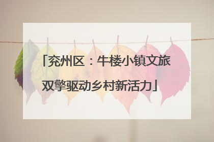 兖州区：牛楼小镇文旅双擎驱动乡村新活力