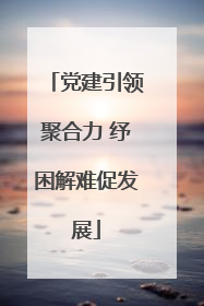 党建引领聚合力 纾困解难促发展
