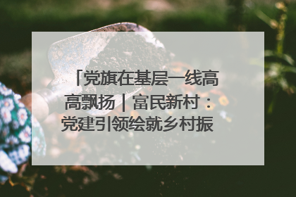 党旗在基层一线高高飘扬｜富民新村：党建引领绘就乡村振兴美丽画卷