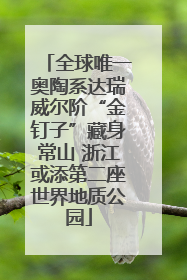 全球唯一奥陶系达瑞威尔阶“金钉子”藏身常山 浙江或添第二座世界地质公园