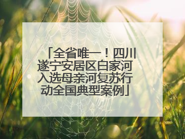 全省唯一！四川遂宁安居区白家河入选母亲河复苏行动全国典型案例