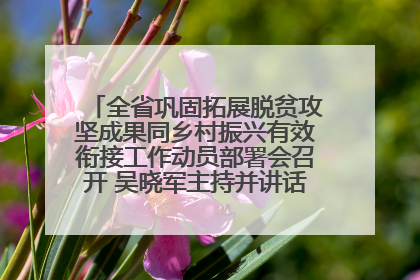 全省巩固拓展脱贫攻坚成果同乡村振兴有效衔接工作动员部署会召开 吴晓军主持并讲话 罗东川作安排部署