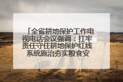 全省耕地保护工作电视电话会议强调：扛牢责任守住耕地保护红线 系统施治夯实粮食安全根基 王宁作出批示 王予波出席并讲话