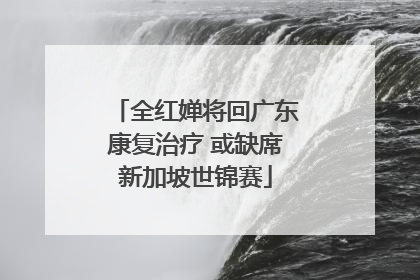 全红婵将回广东康复治疗 或缺席新加坡世锦赛