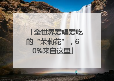 全世界爱唱爱吃的“茉莉花”，60%来自这里