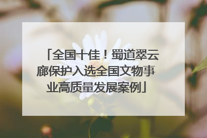 全国十佳！蜀道翠云廊保护入选全国文物事业高质量发展案例