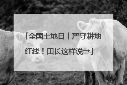 全国土地日丨严守耕地红线！田长这样说→