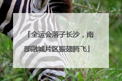 全运会落子长沙，南部融城片区振翅腾飞