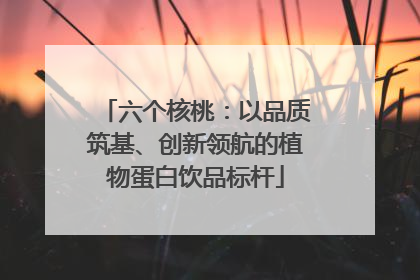 六个核桃：以品质筑基、创新领航的植物蛋白饮品标杆