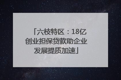 六枝特区：18亿创业担保贷款助企业发展提质加速