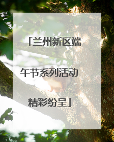 兰州新区端午节系列活动精彩纷呈