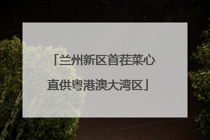 兰州新区首茬菜心直供粤港澳大湾区