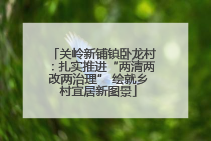 关岭新铺镇卧龙村：扎实推进“两清两改两治理” 绘就乡村宜居新图景