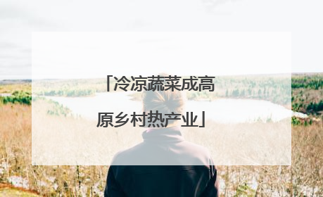 冷凉蔬菜成高原乡村热产业