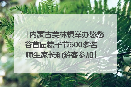 内蒙古美林镇举办悠悠谷首届粽子节600多名师生家长和游客参加