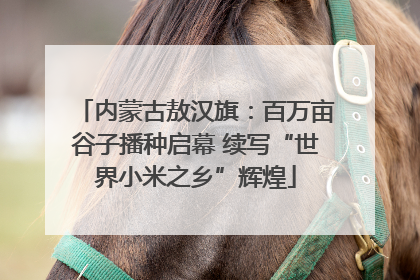内蒙古敖汉旗：百万亩谷子播种启幕 续写“世界小米之乡”辉煌