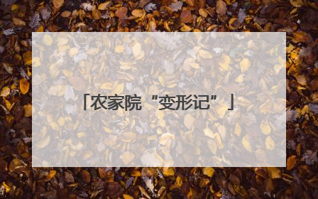 农家院“变形记”