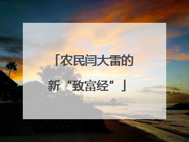 农民闫大雷的新“致富经”