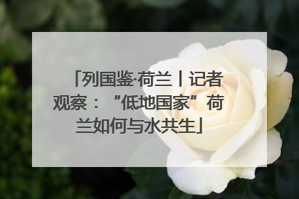 列国鉴·荷兰丨记者观察：“低地国家”荷兰如何与水共生