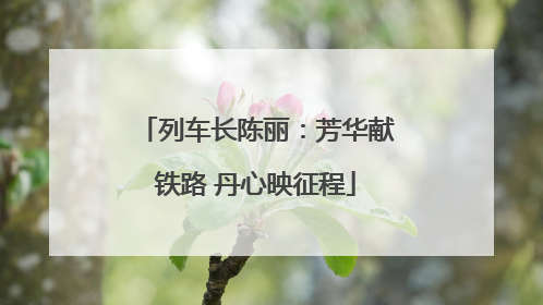 列车长陈丽：芳华献铁路 丹心映征程