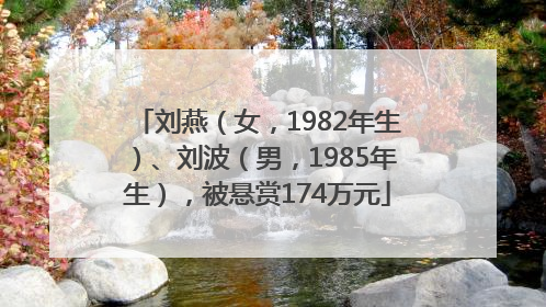 刘燕（女，1982年生）、刘波（男，1985年生），被悬赏174万元