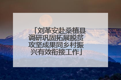 刘革安赴桑植县调研巩固拓展脱贫攻坚成果同乡村振兴有效衔接工作