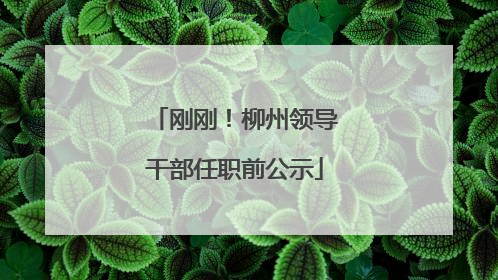 刚刚！柳州领导干部任职前公示
