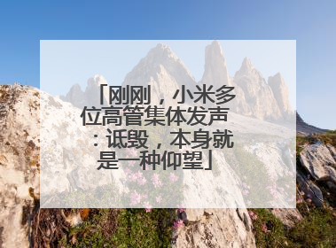 刚刚，小米多位高管集体发声：诋毁，本身就是一种仰望