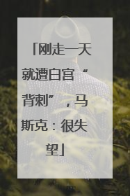 刚走一天就遭白宫“背刺”，马斯克：很失望