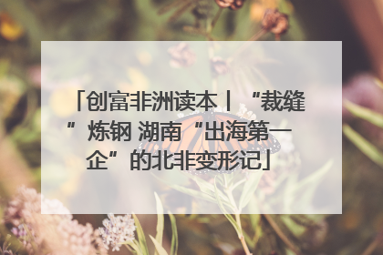 创富非洲读本丨“裁缝”炼钢 湖南“出海第一企”的北非变形记