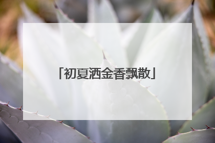 初夏洒金香飘散