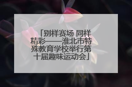 别样赛场 同样精彩——淮北市特殊教育学校举行第十届趣味运动会